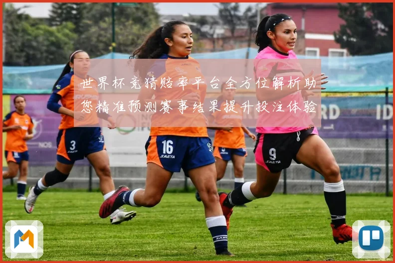 世界杯竞猜赔率平台全方位解析助您精准预测赛事结果提升投注体验