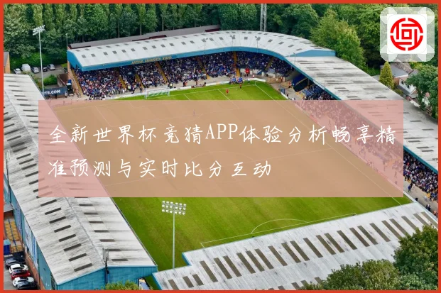 全新世界杯竞猜APP体验分析畅享精准预测与实时比分互动