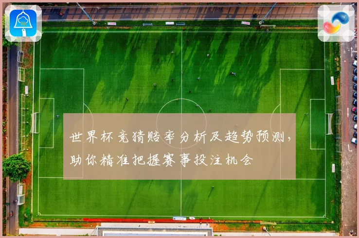 世界杯竞猜赔率分析及趋势预测，助你精准把握赛事投注机会