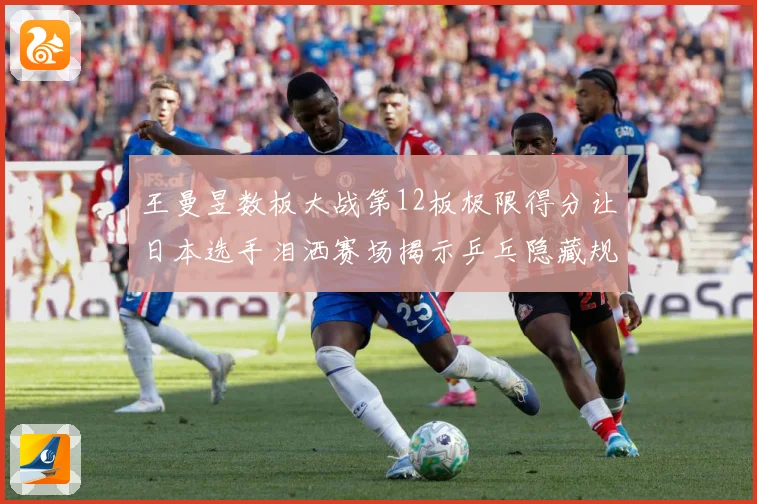 王曼昱数板大战第12板极限得分让日本选手泪洒赛场揭示乒乓隐藏规则