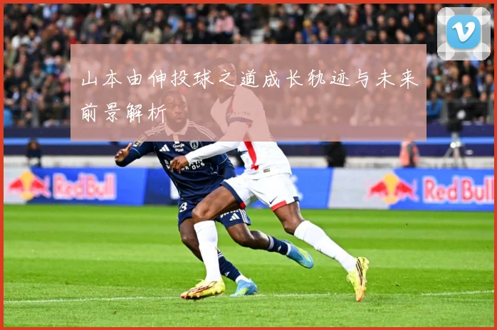 山本由伸投球之道成长轨迹与未来前景解析