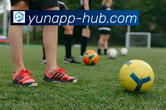 开云篮球投注全面指南助力玩家提升投注技巧与盈利能力